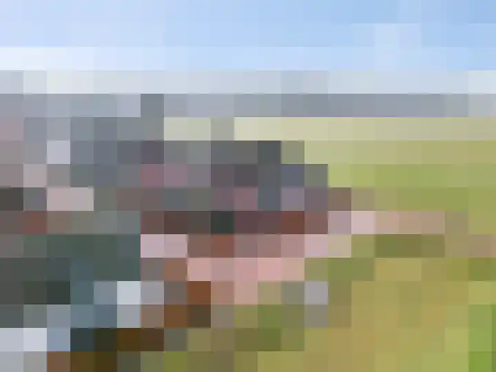 't Boerenerf 3 Garderen thumbnail 4