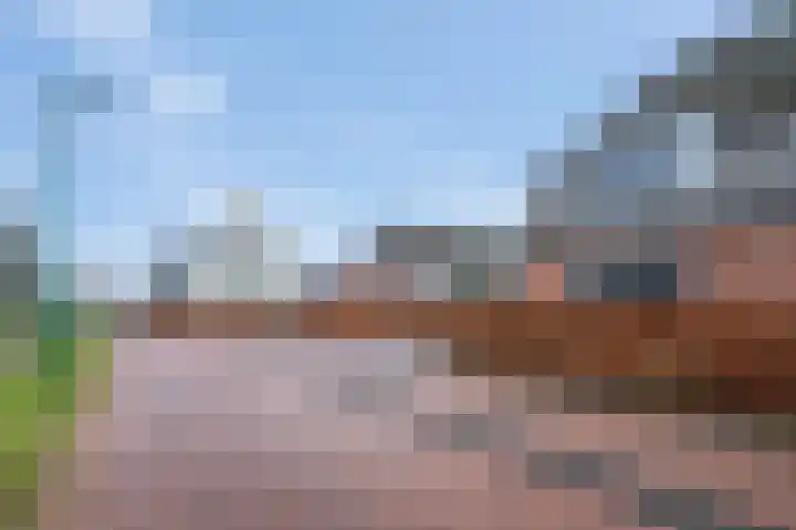 't Boerenerf 3 Garderen thumbnail 50
