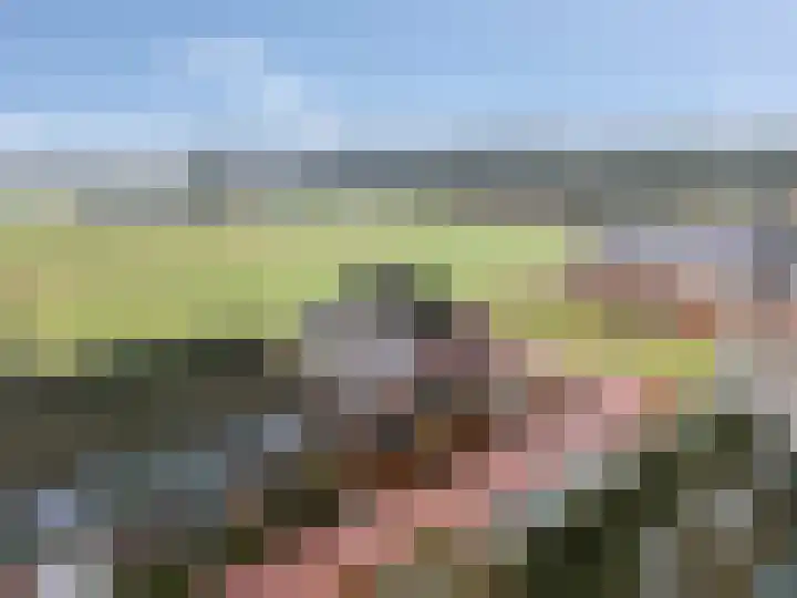 't Boerenerf 3 Garderen thumbnail 51