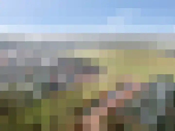 't Boerenerf 3 Garderen thumbnail 52