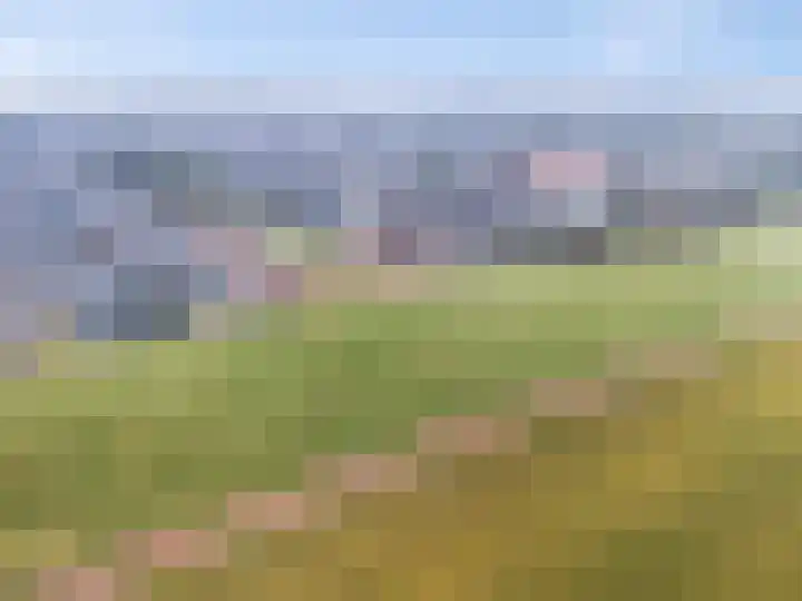 't Boerenerf 3 Garderen thumbnail 53