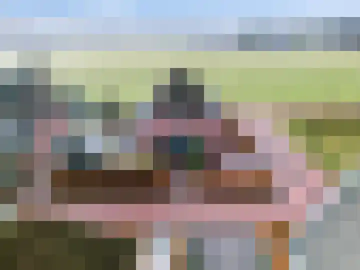 't Boerenerf 3 Garderen thumbnail 7