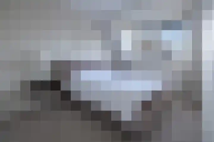 't Boerenerf 6 Garderen thumbnail 14