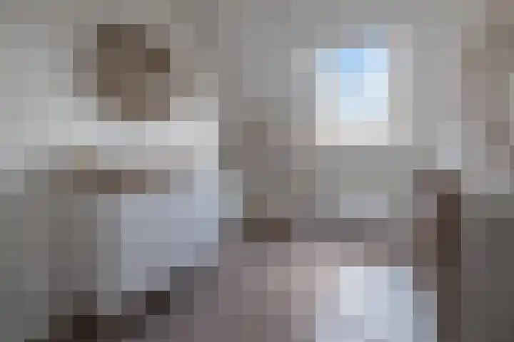 't Boerenerf 6 Garderen thumbnail 16