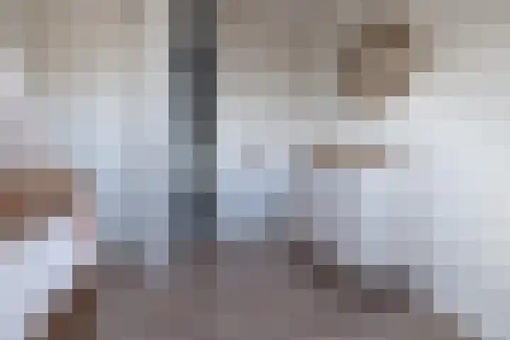 't Boerenerf 6 Garderen thumbnail 17