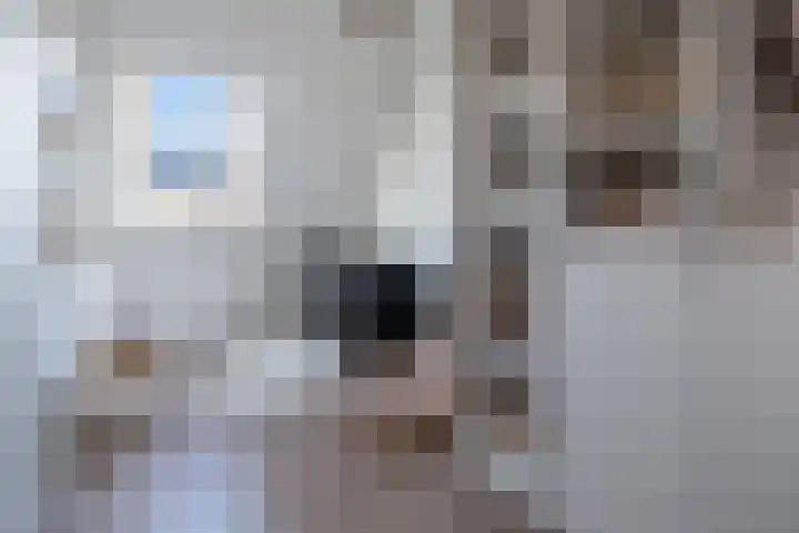 't Boerenerf 6 Garderen thumbnail 18