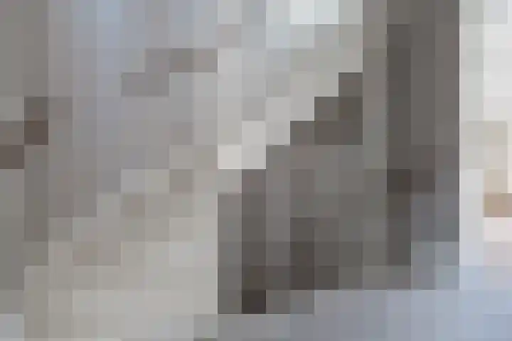 't Boerenerf 6 Garderen thumbnail 22