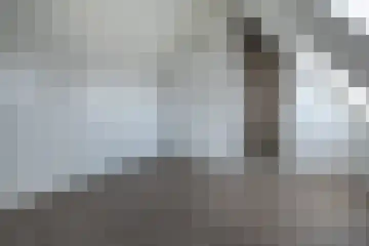 't Boerenerf 6 Garderen thumbnail 25
