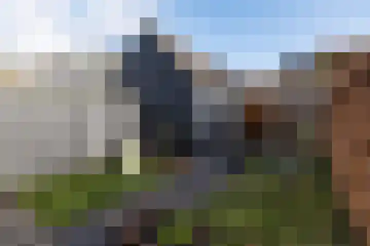 't Boerenerf 6 Garderen thumbnail 29