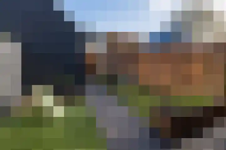 't Boerenerf 6 Garderen thumbnail 31