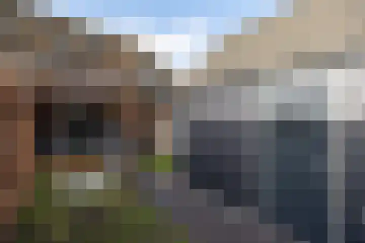 't Boerenerf 6 Garderen thumbnail 33