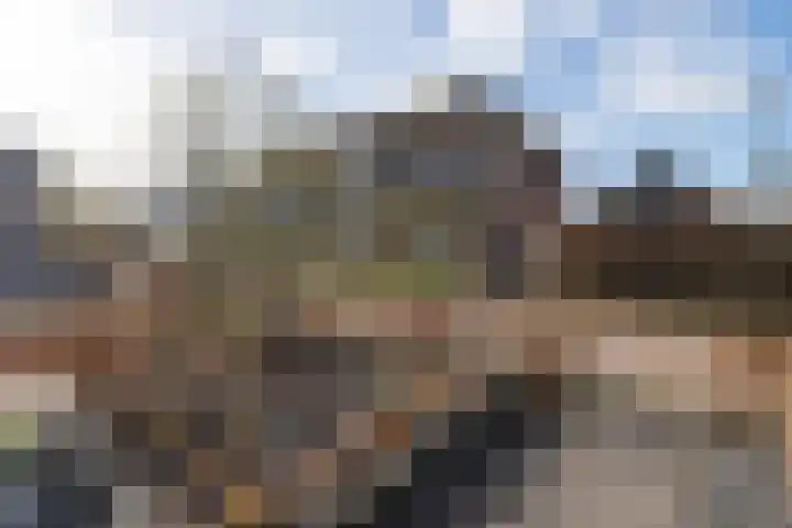 't Boerenerf 6 Garderen thumbnail 35