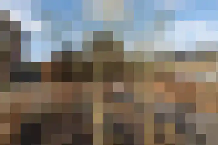 't Boerenerf 6 Garderen thumbnail 36