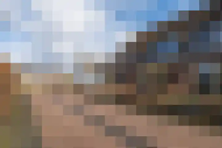 't Boerenerf 6 Garderen thumbnail 38