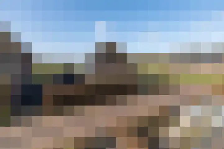 't Boerenerf 6 Garderen thumbnail 39