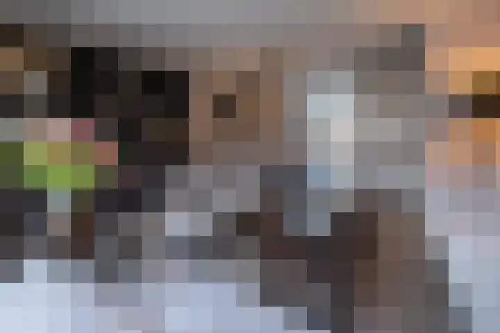 't Boerenerf 6 Garderen thumbnail 7