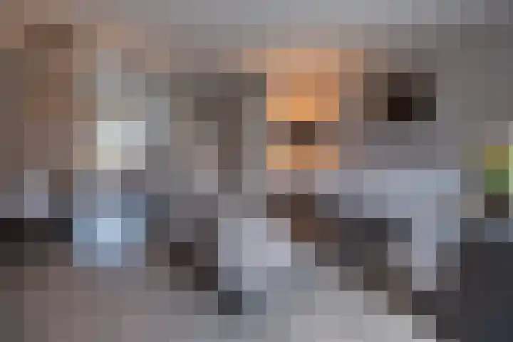 't Boerenerf 6 Garderen thumbnail 8