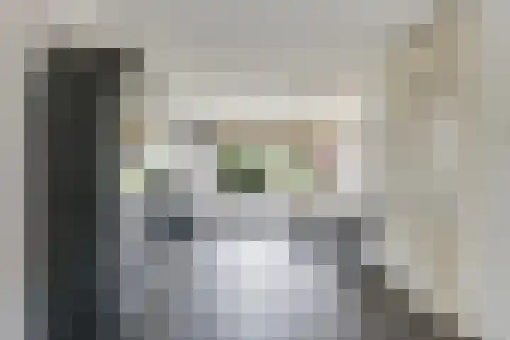 't Boogstuk 27 Andelst thumbnail 10