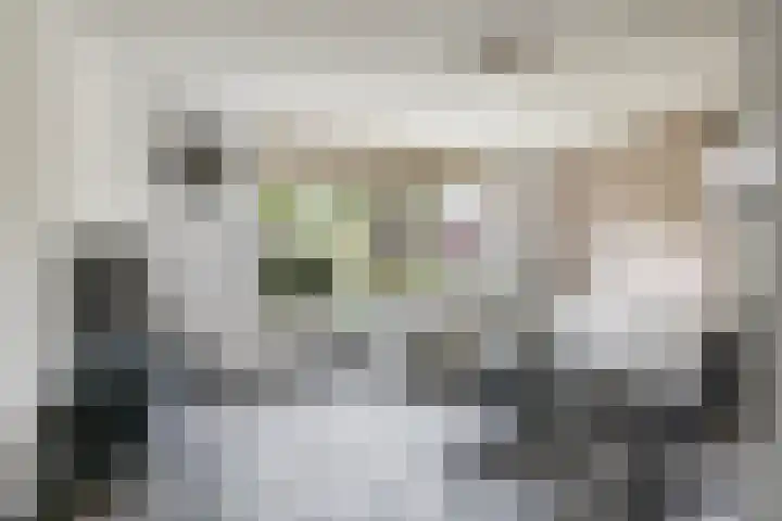 't Boogstuk 27 Andelst thumbnail 11