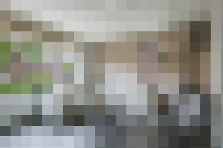 't Boogstuk 27 Andelst thumbnail 12