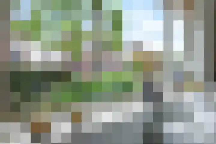 't Boogstuk 27 Andelst thumbnail 13