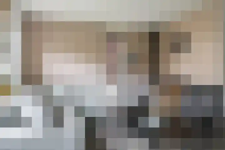 't Boogstuk 27 Andelst thumbnail 14