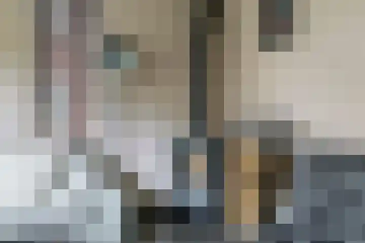 't Boogstuk 27 Andelst thumbnail 15