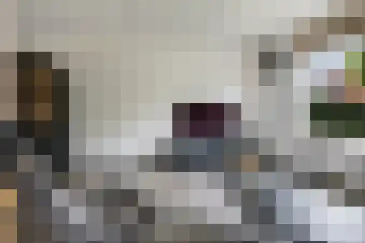 't Boogstuk 27 Andelst thumbnail 16
