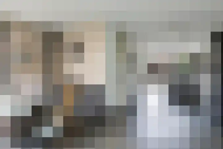 't Boogstuk 27 Andelst thumbnail 17