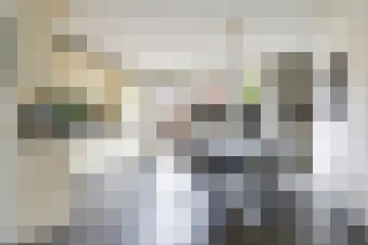 't Boogstuk 27 Andelst thumbnail 19