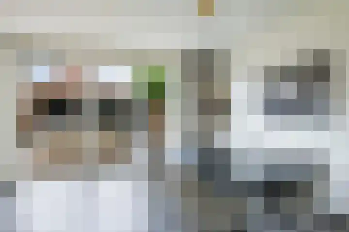 't Boogstuk 27 Andelst thumbnail 20