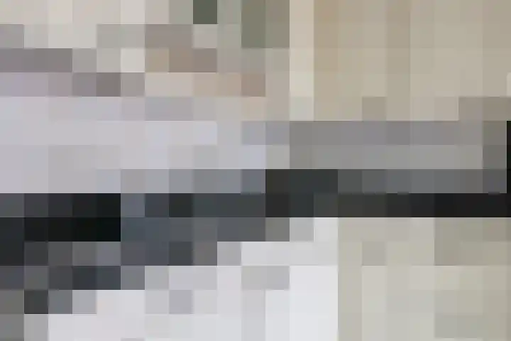 't Boogstuk 27 Andelst thumbnail 24