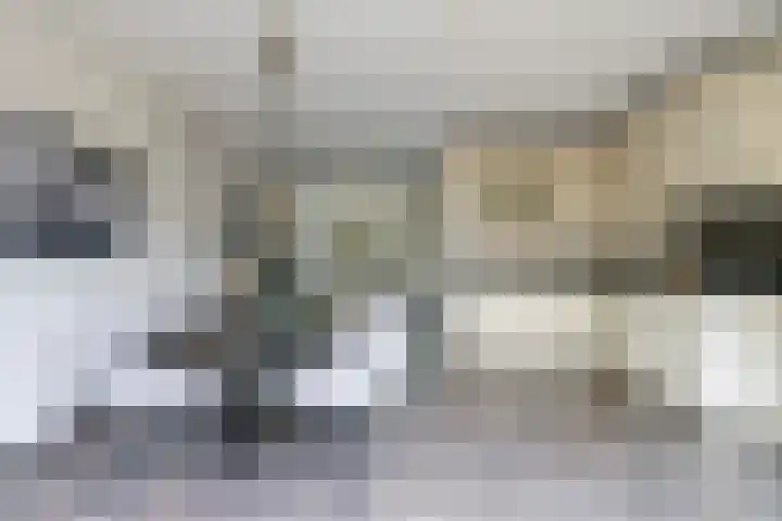 't Boogstuk 27 Andelst thumbnail 25