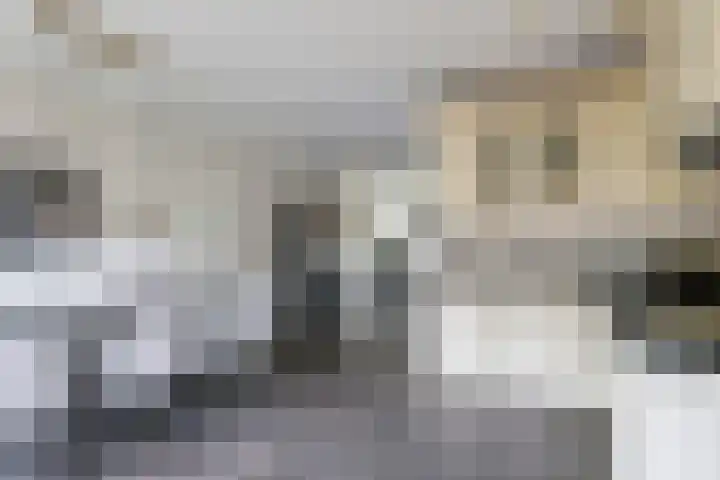 't Boogstuk 27 Andelst thumbnail 26