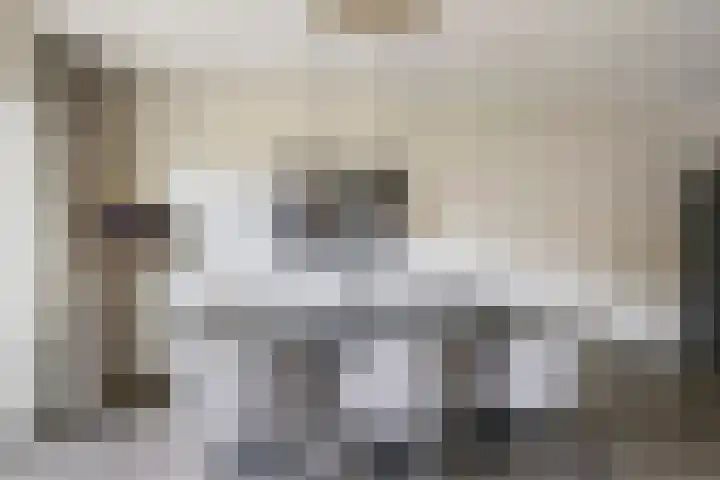 't Boogstuk 27 Andelst thumbnail 27