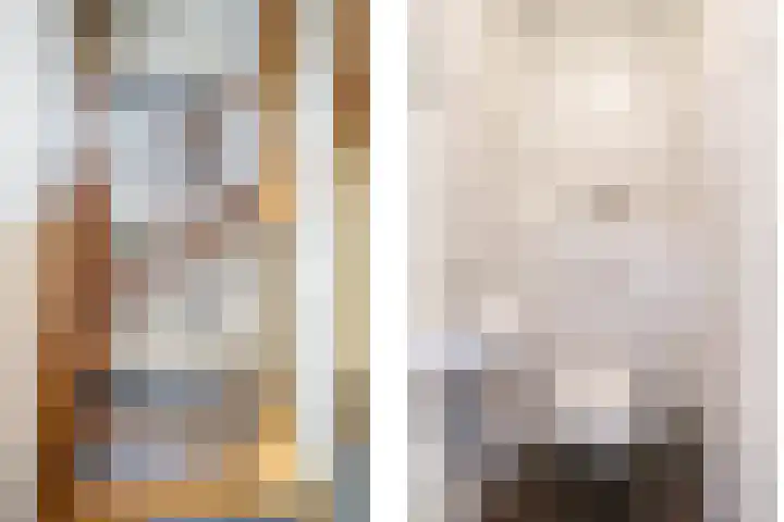 't Boogstuk 27 Andelst thumbnail 29