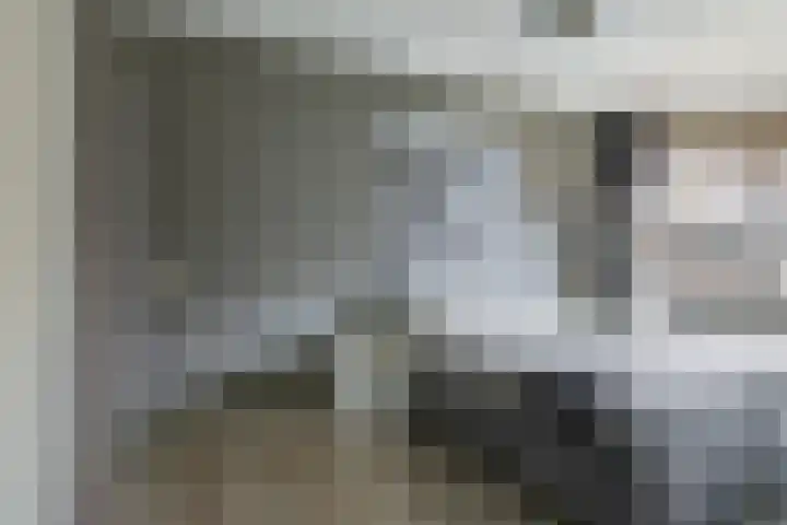 't Boogstuk 27 Andelst thumbnail 31