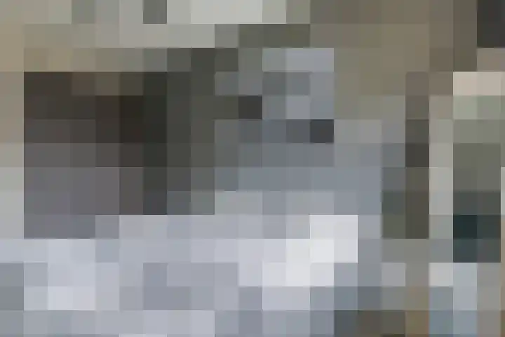 't Boogstuk 27 Andelst thumbnail 33