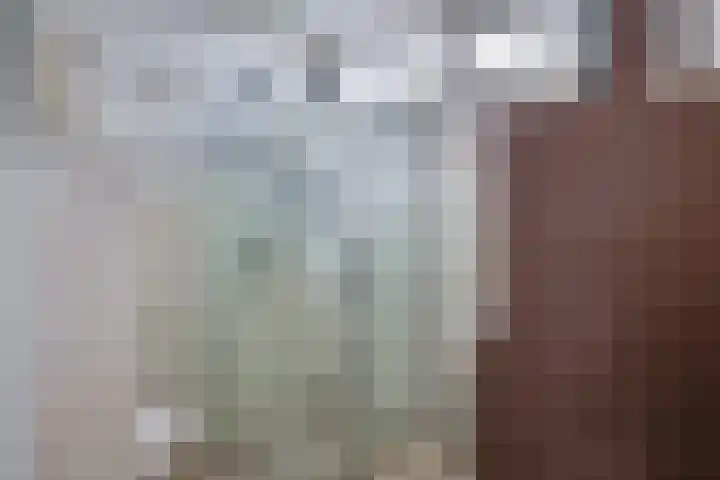 't Boogstuk 27 Andelst thumbnail 34