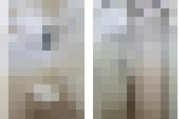 't Boogstuk 27 Andelst thumbnail 35