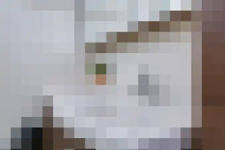't Boogstuk 27 Andelst thumbnail 36