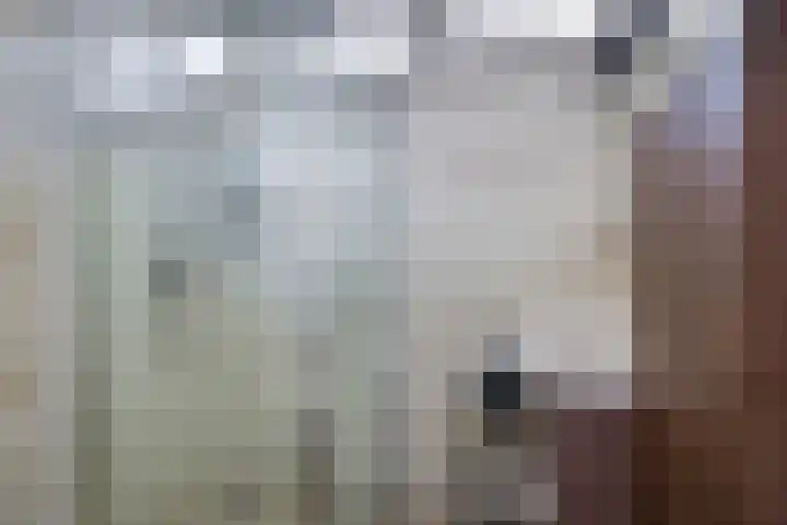 't Boogstuk 27 Andelst thumbnail 37