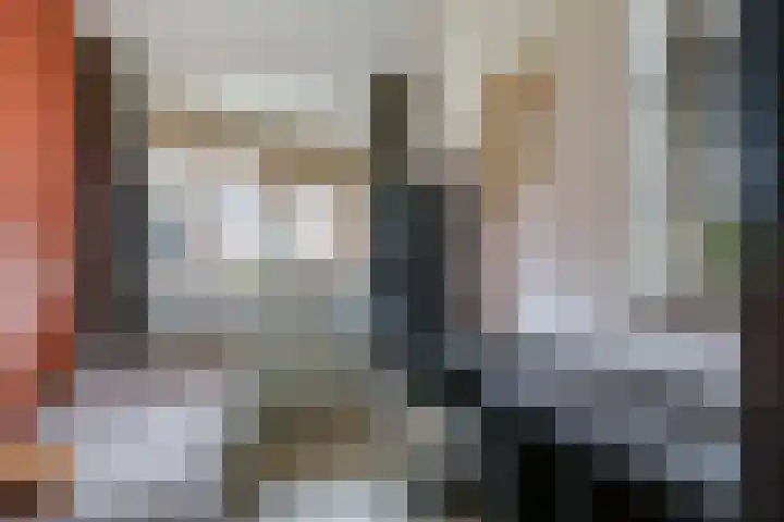 't Boogstuk 27 Andelst thumbnail 39