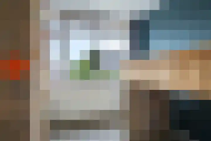 't Boogstuk 27 Andelst thumbnail 42