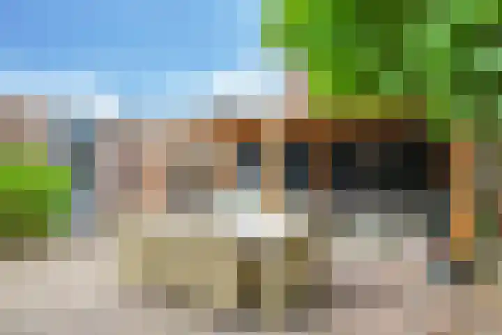't Boogstuk 27 Andelst thumbnail 53