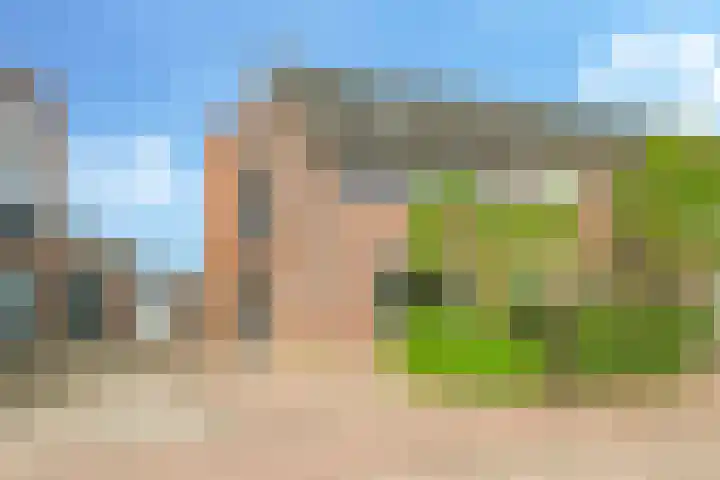 't Boogstuk 27 Andelst thumbnail 6