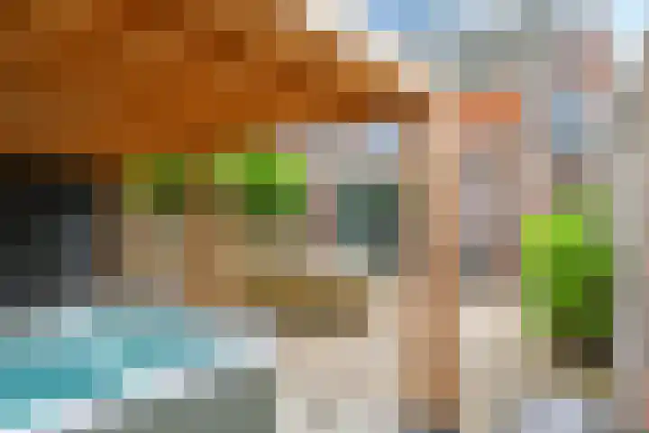 't Boogstuk 27 Andelst thumbnail 60