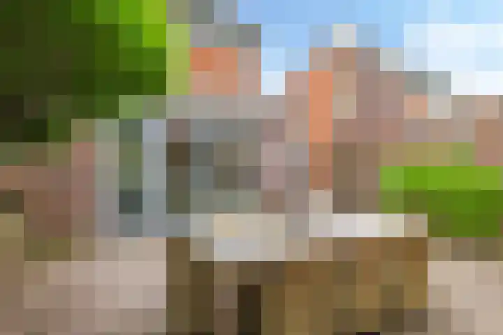 't Boogstuk 27 Andelst thumbnail 61