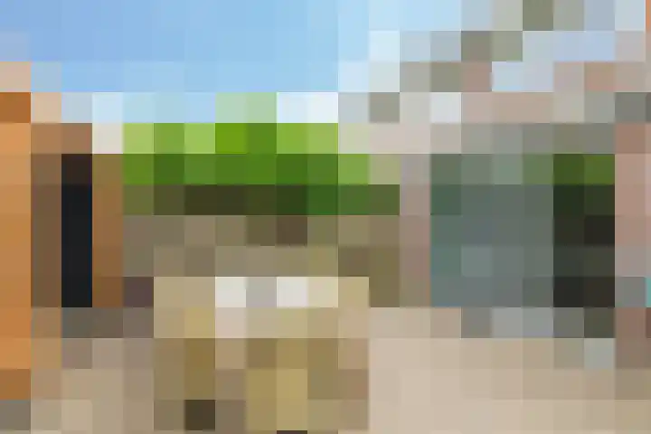 't Boogstuk 27 Andelst thumbnail 62