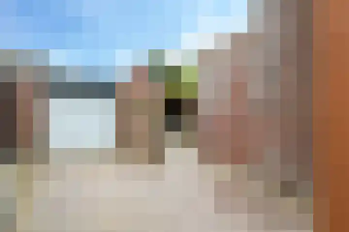 't Boogstuk 27 Andelst thumbnail 64